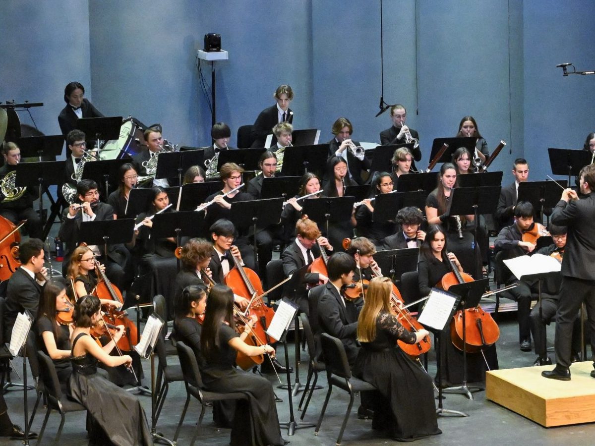 Orchestra performing